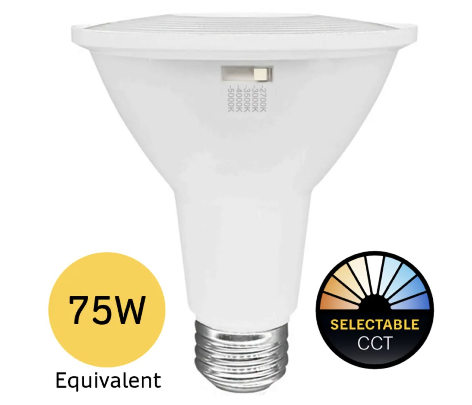 10PAR30-FL-LED-9CS-D-T20