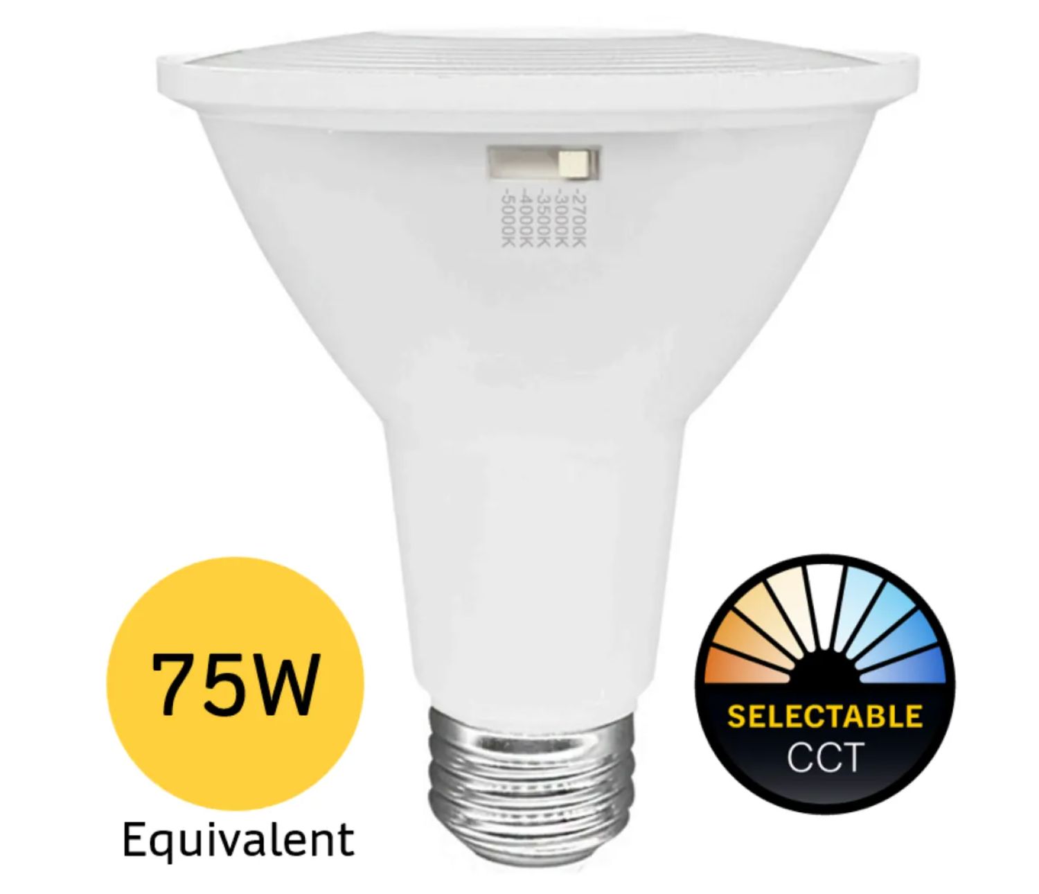 10PAR30-FL-LED-9CS-D-T20