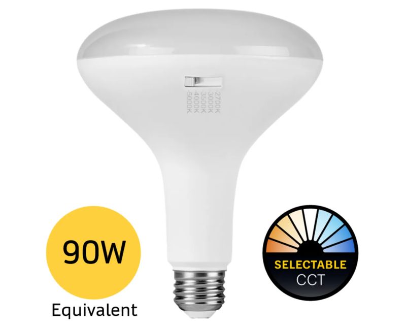 13BR40-FL-LED-9CS-D-T20