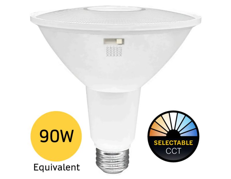13PAR38-FL-LED-9CS-D-T20