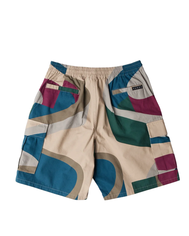 The Wall Camo Shorts