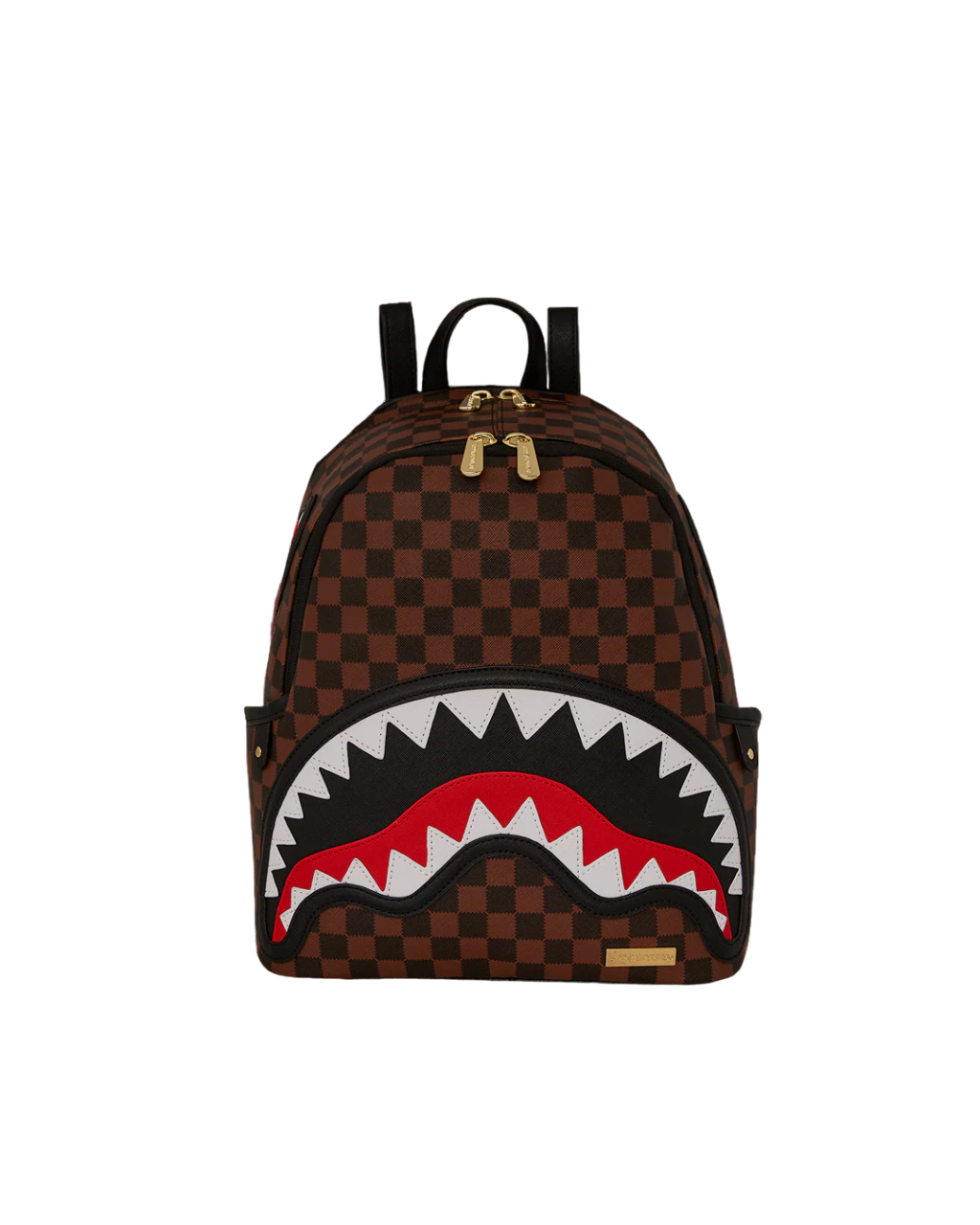 Sawtooth Sharks in Paris Savage