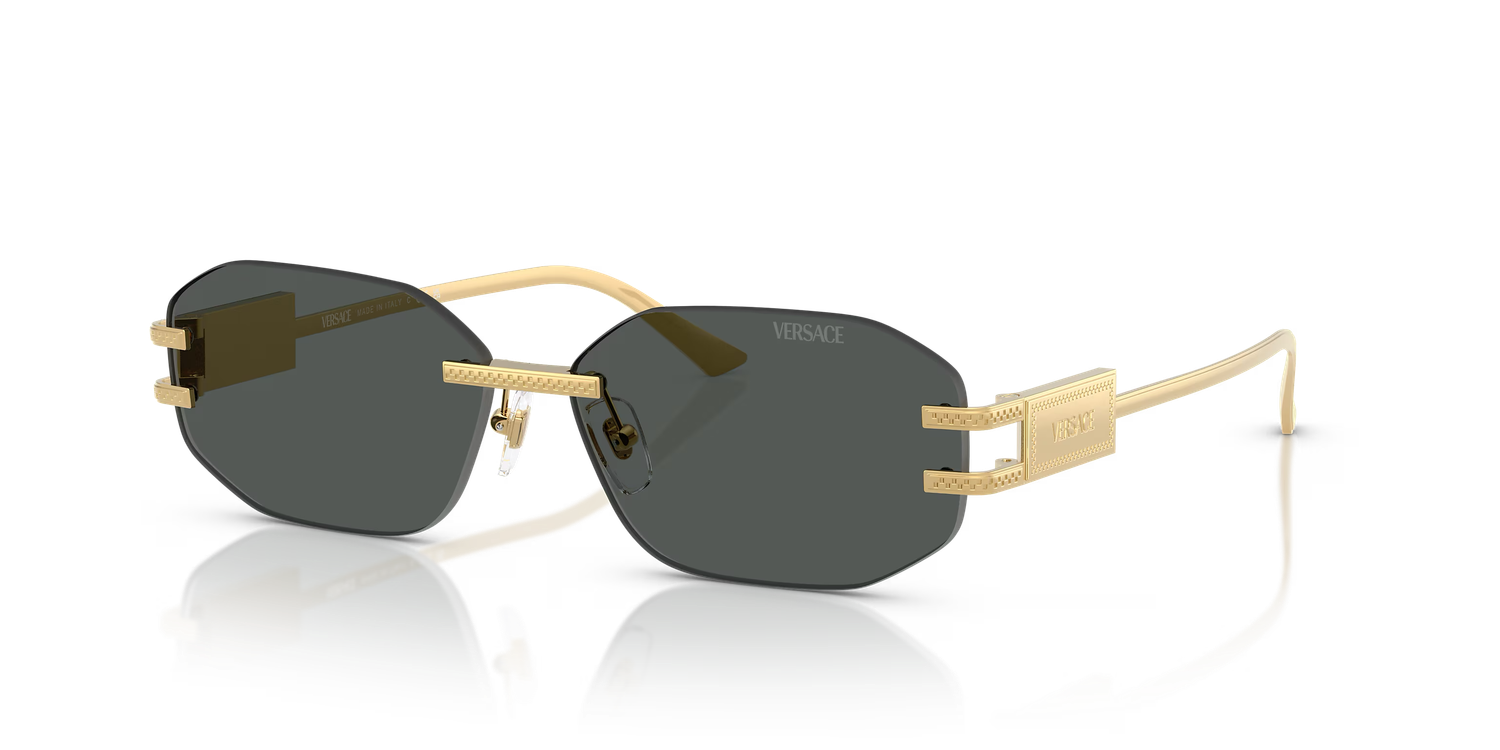 Damier Plaque Sunglasses