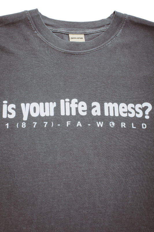 Is Your Life A Mess? SS Tee