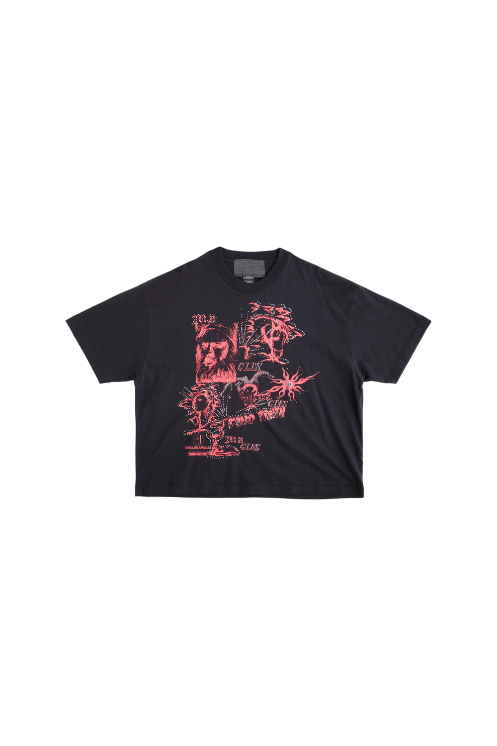 Find Truth tee