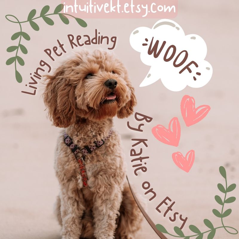 Pet Psychic Reading Connect With Your Pet’s Energy Compassionate Animal Communication Living Pet Reading  - 15 minute audio!