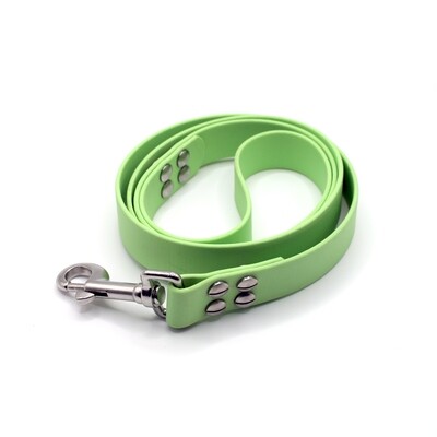 Laisse &quot;Traveler&quot; Vert pastel