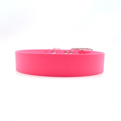 Collier &quot;Traveler&quot; Rose