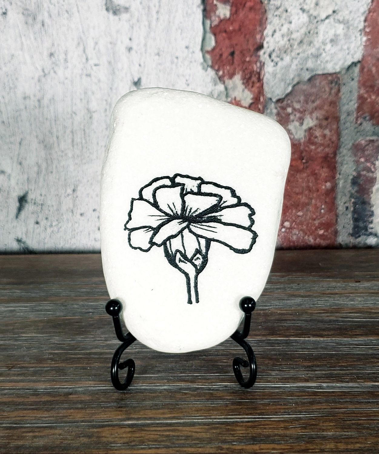 Carnation