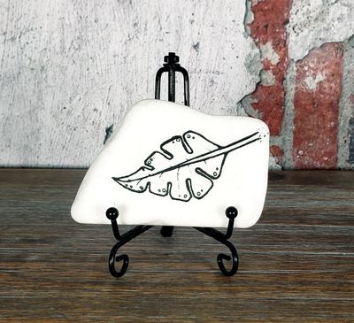 Single monstera leaf