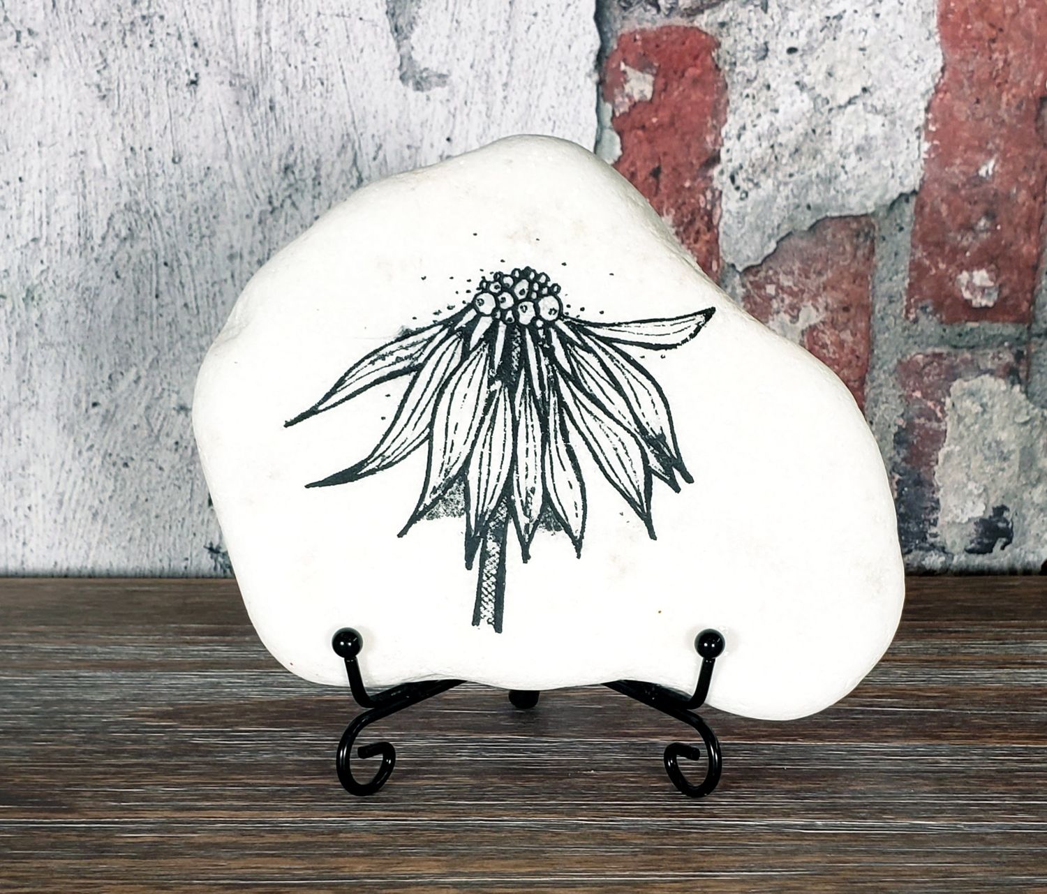 Echinacea