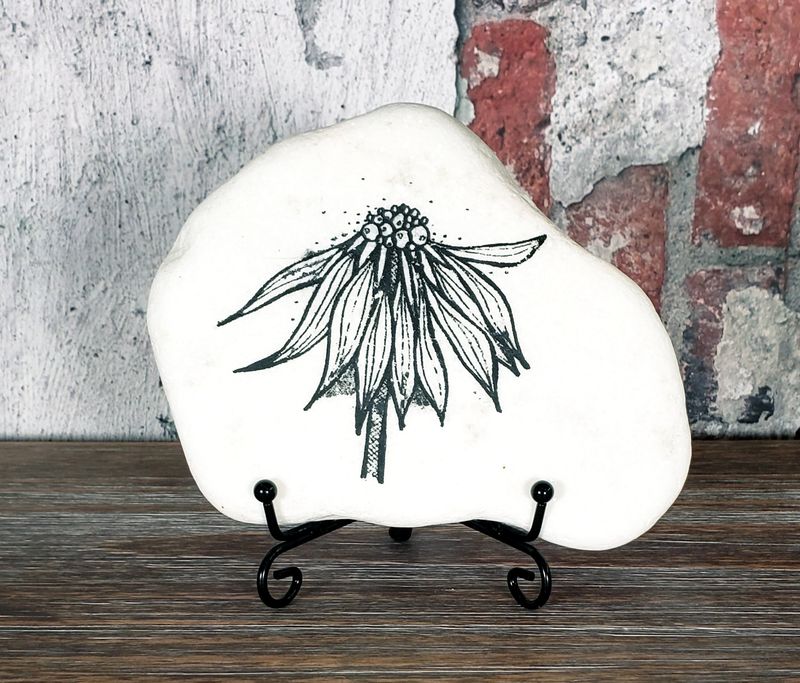 Echinacea