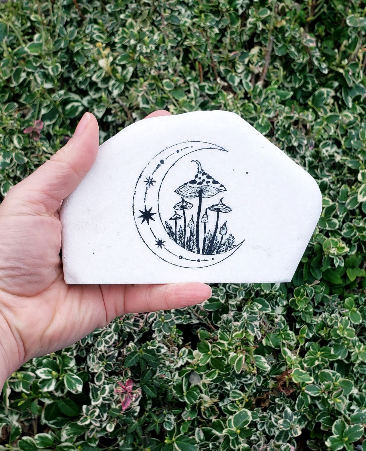 Click here to paint Mushrooms in the Crescent Moon