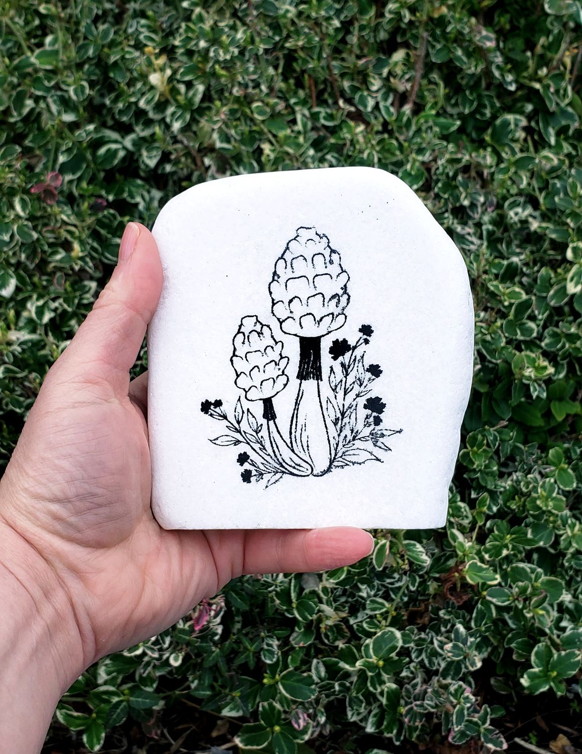 Click here to paint the Shaggy Manes