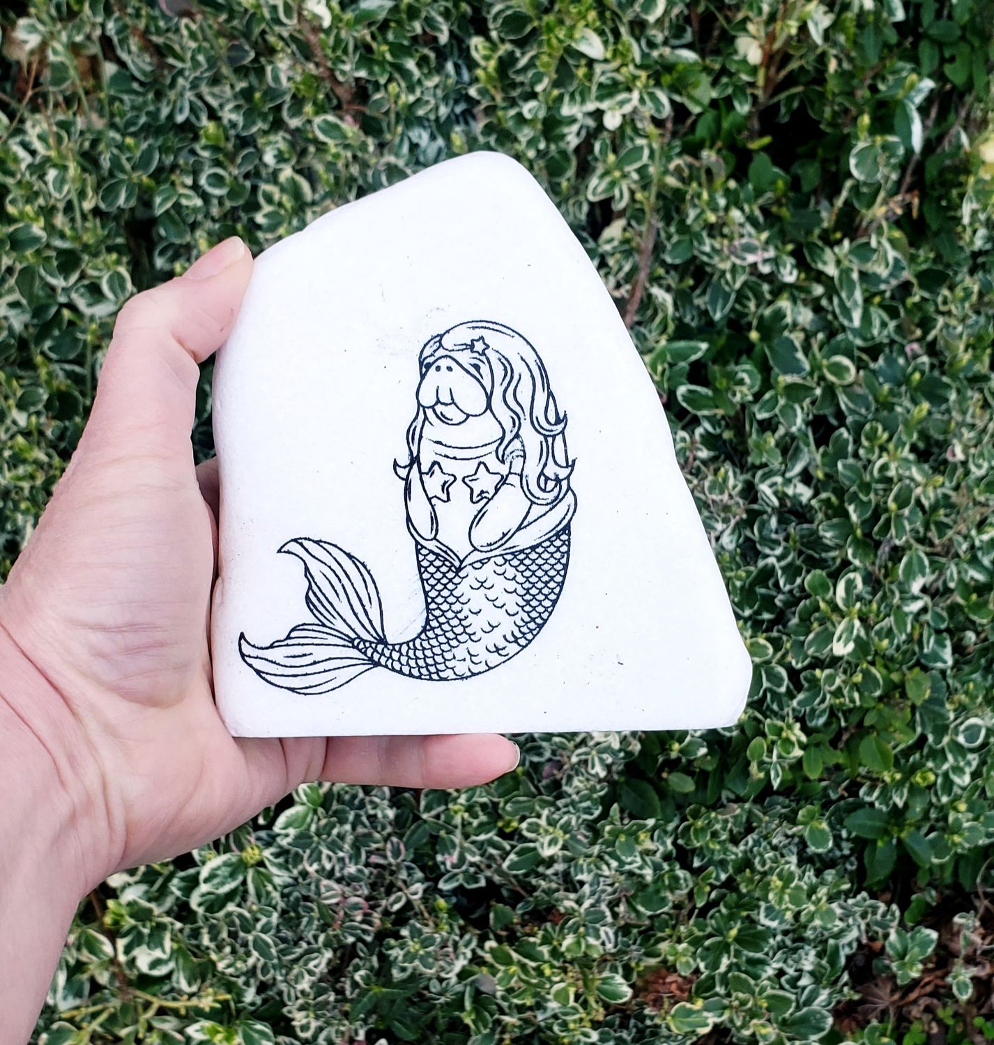 Click here to paint Manatee with a Wig