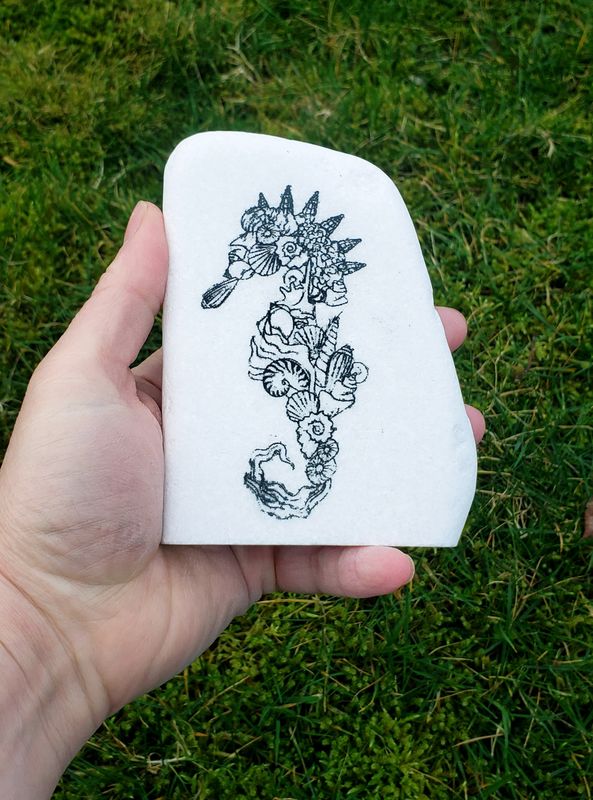 ​Seashell Seahorse
