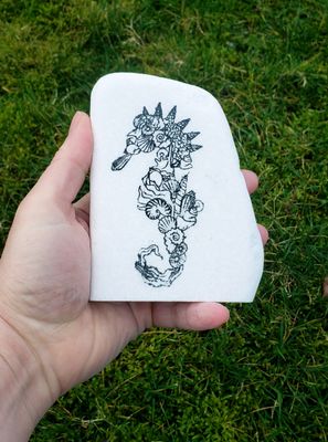 ​Seashell Seahorse