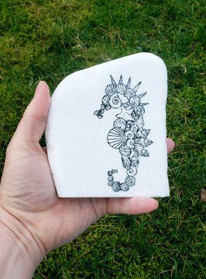 ​Coral Curl Seahorse