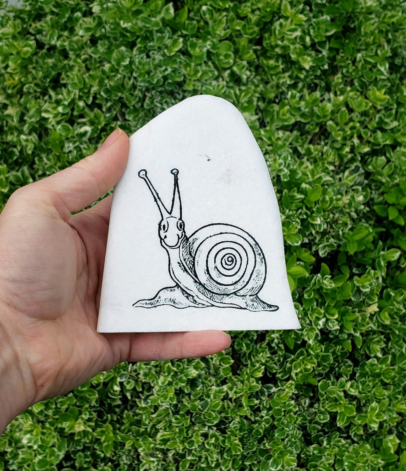 Snail Mail