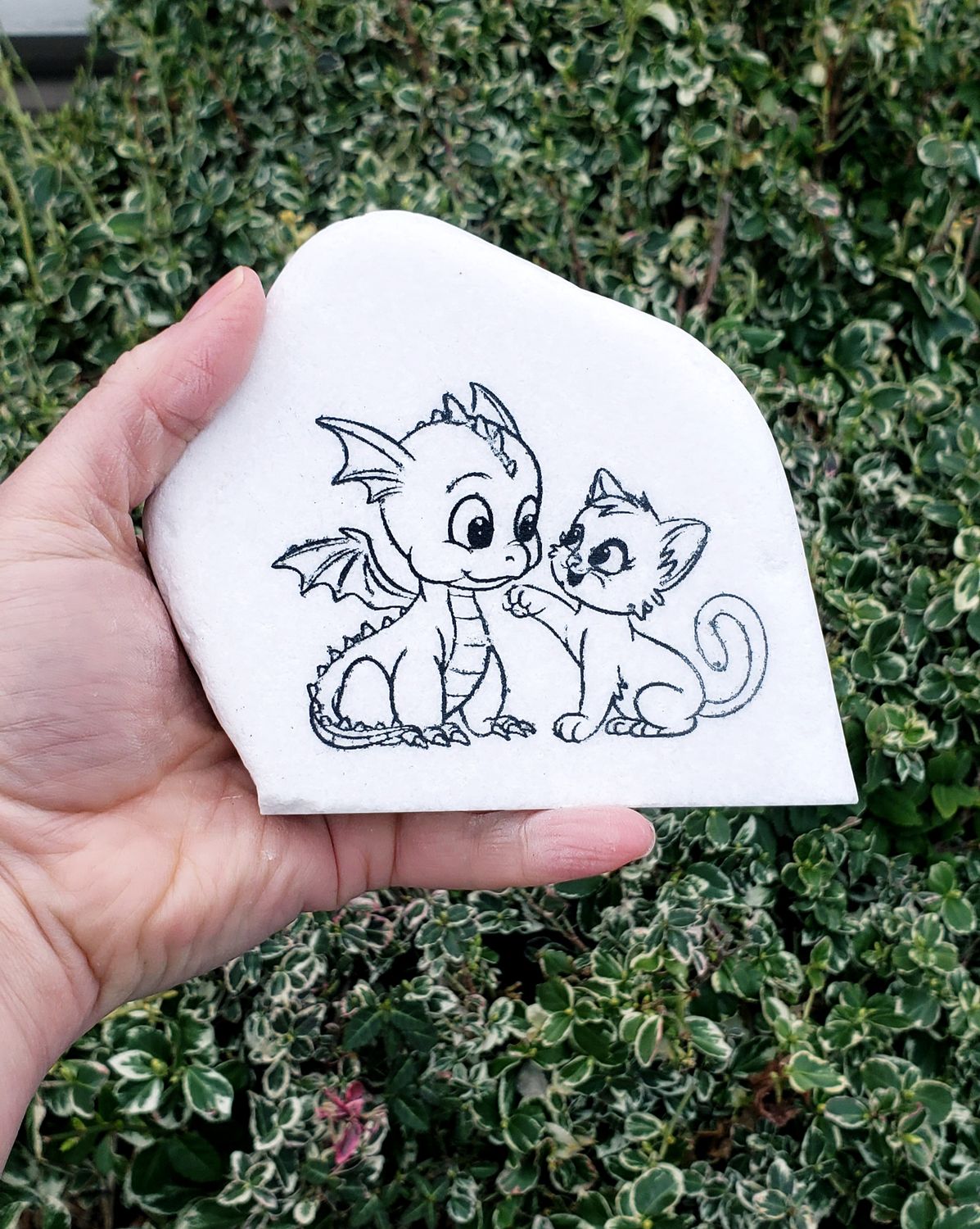 Curious Encounter