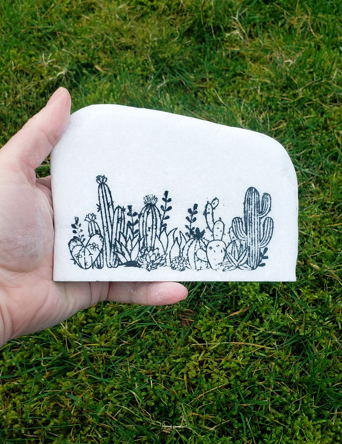 Cactus Cuties