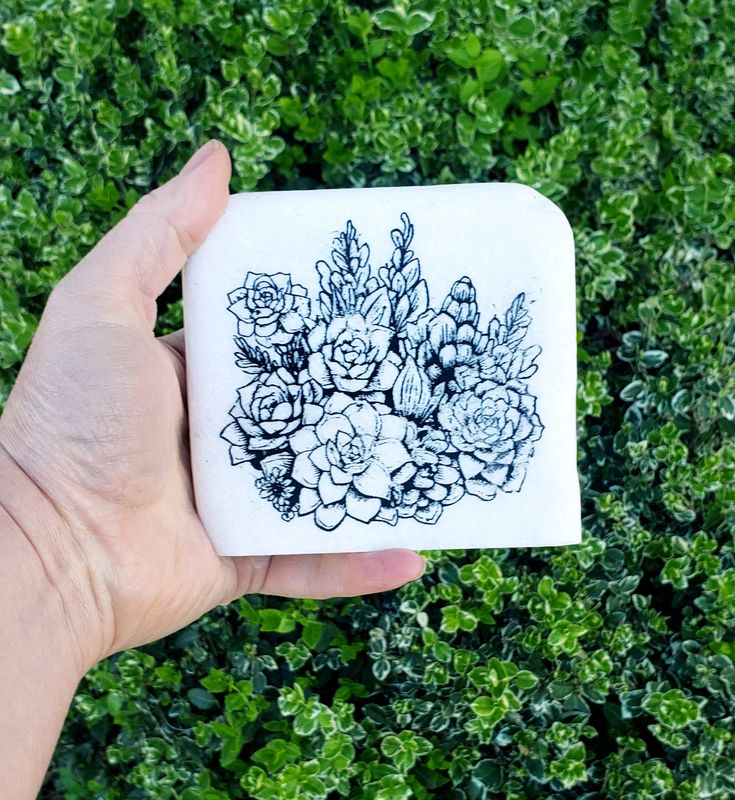 Succulent Snuggle