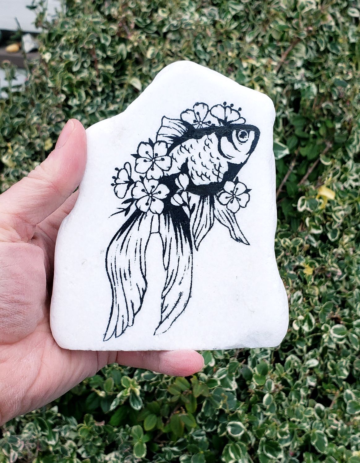 Koi Serenity