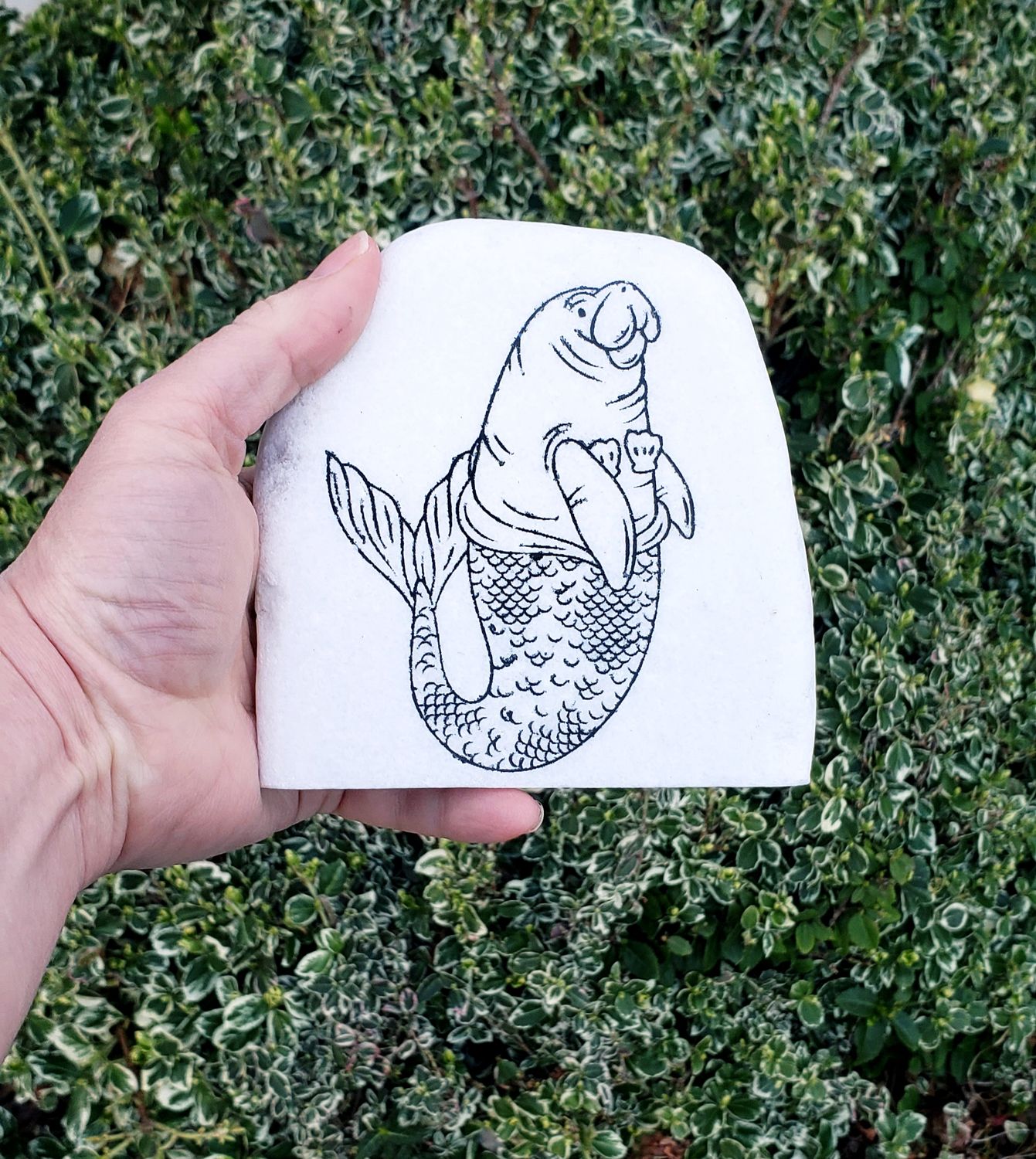 Mermaid Manatee