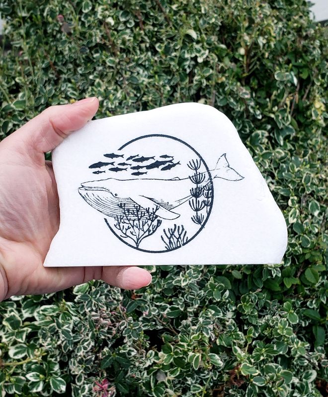 Whale of the Coral Reef