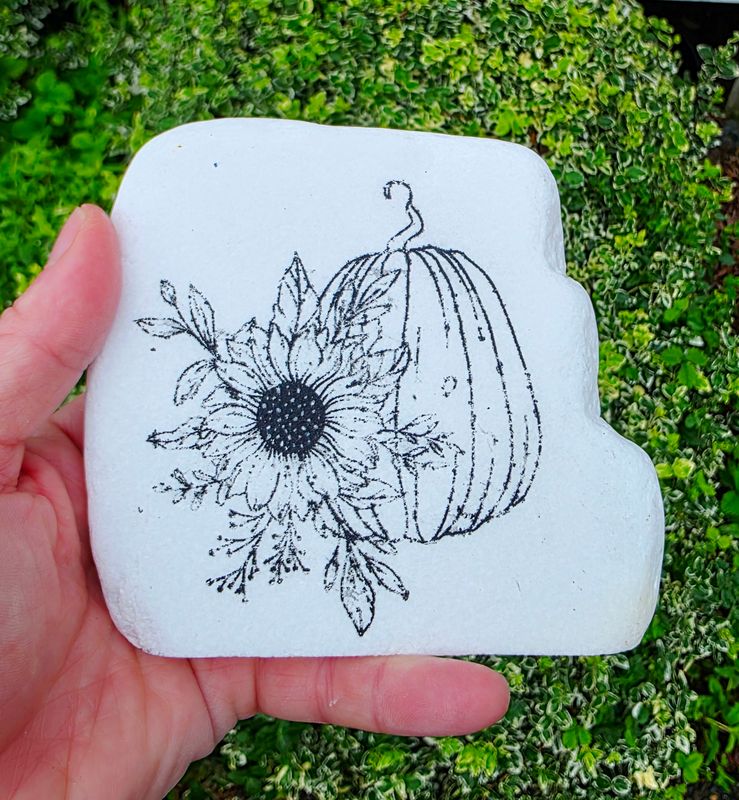 Pumpkin Patch Bloom