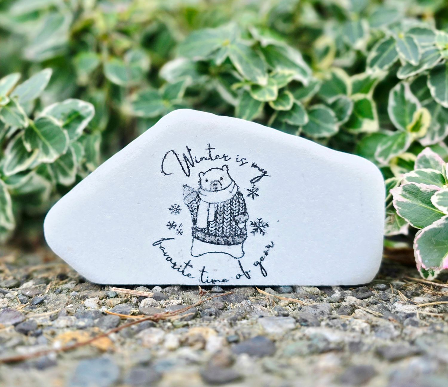 Winter is My Favorite Time of Year