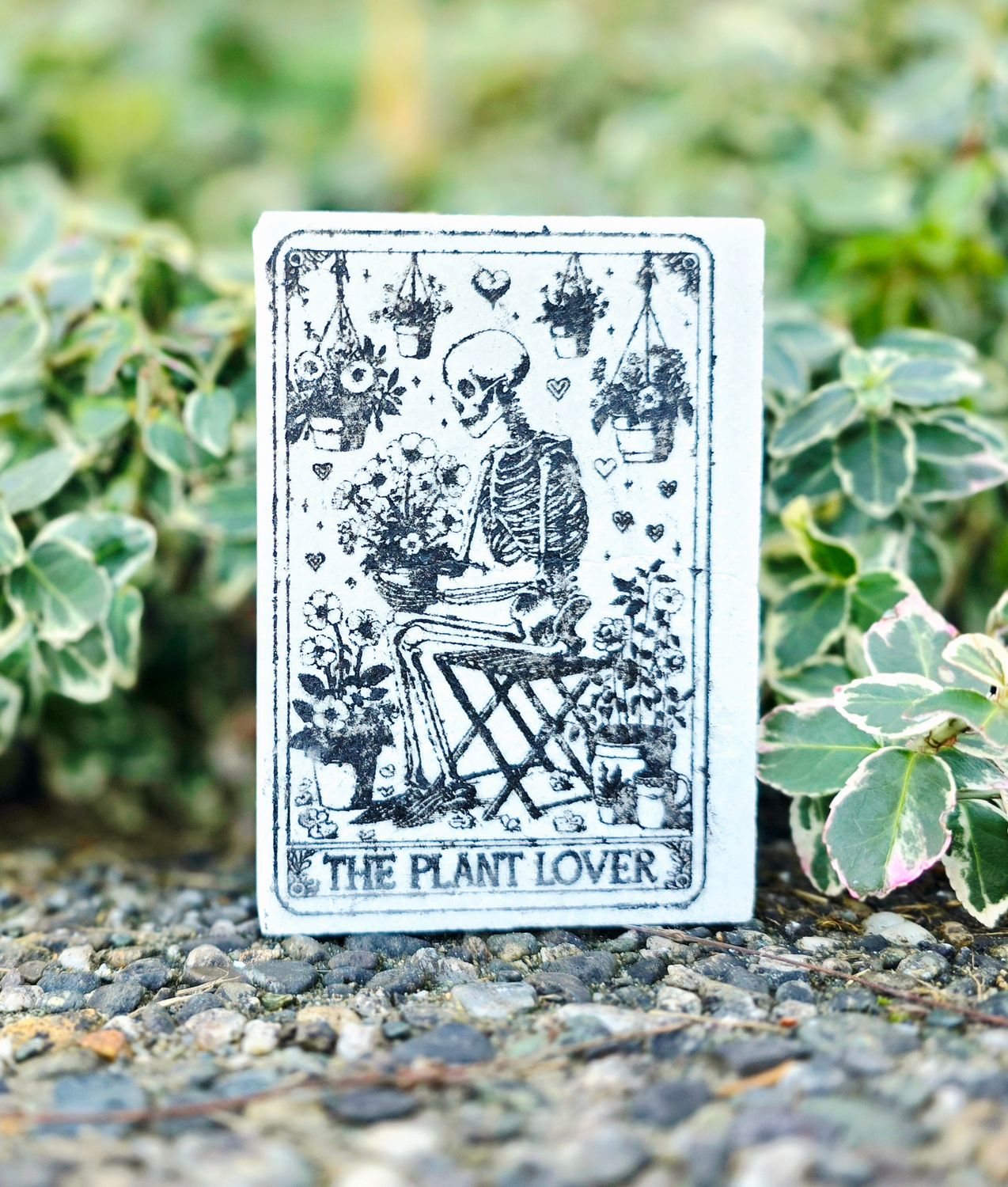 The Plant Lover