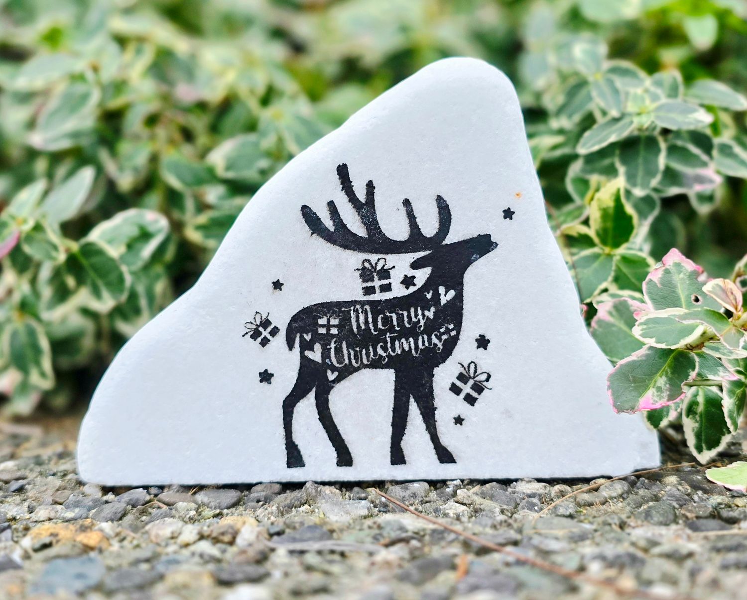 Merry Christmas Reindeer