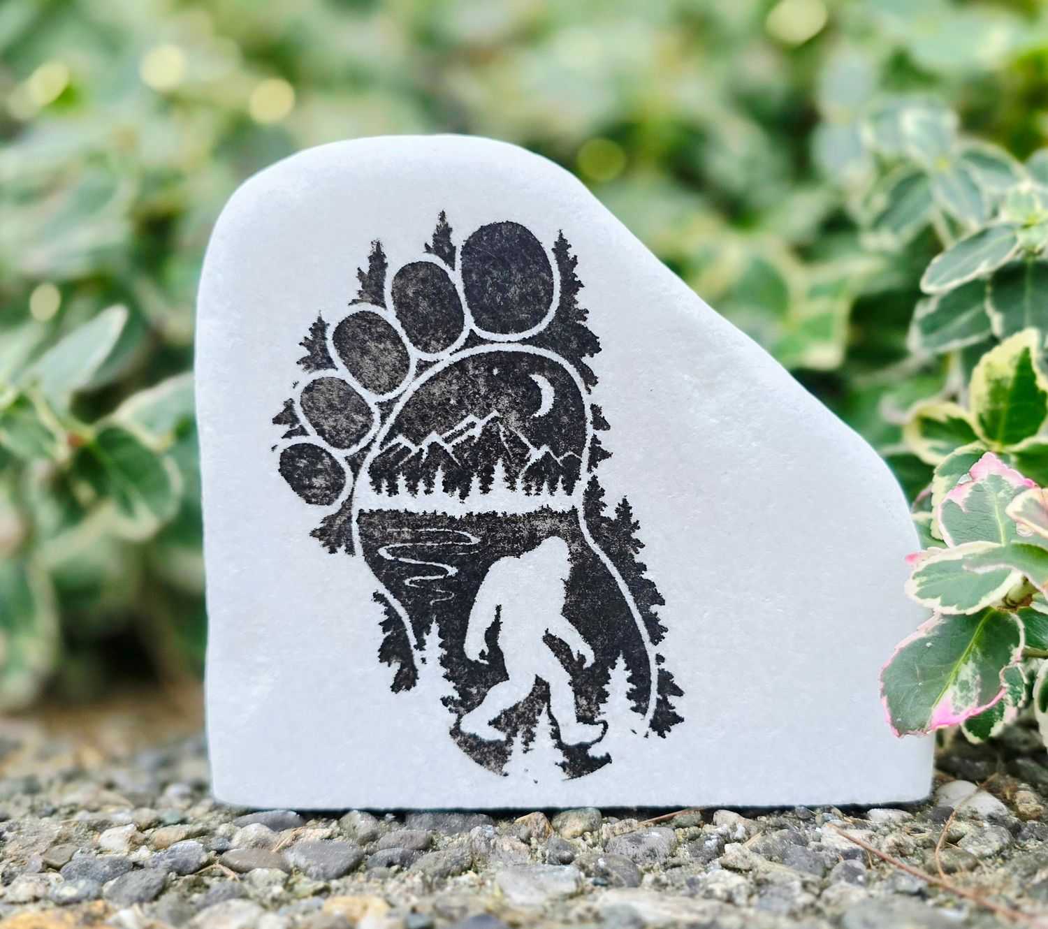 Footprint of the Forest