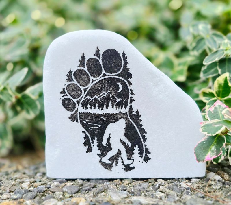 Footprint of the Forest