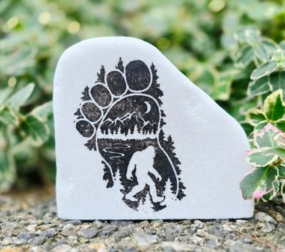 Footprint of the Forest