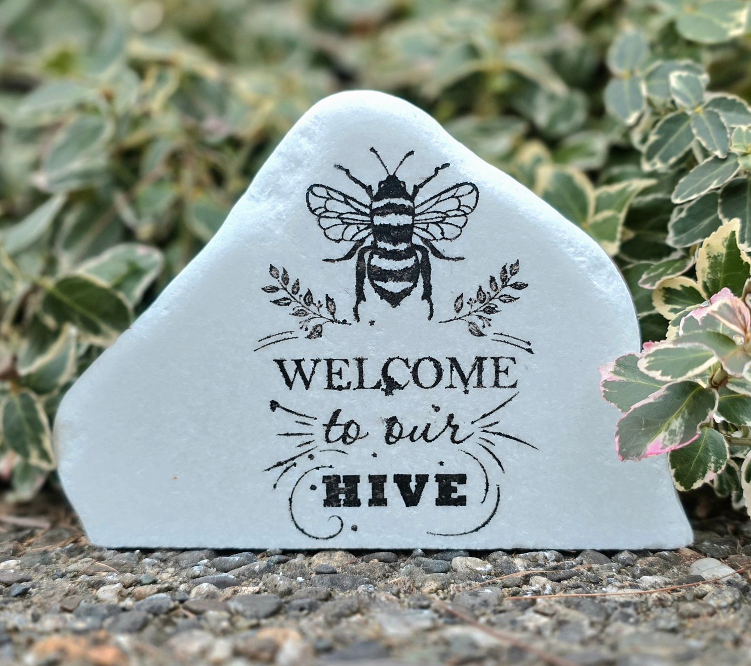 Welcome to Our Hive