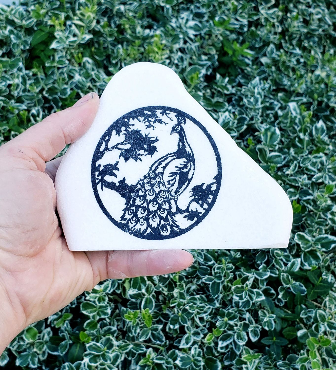 Circle of Grace Peacock