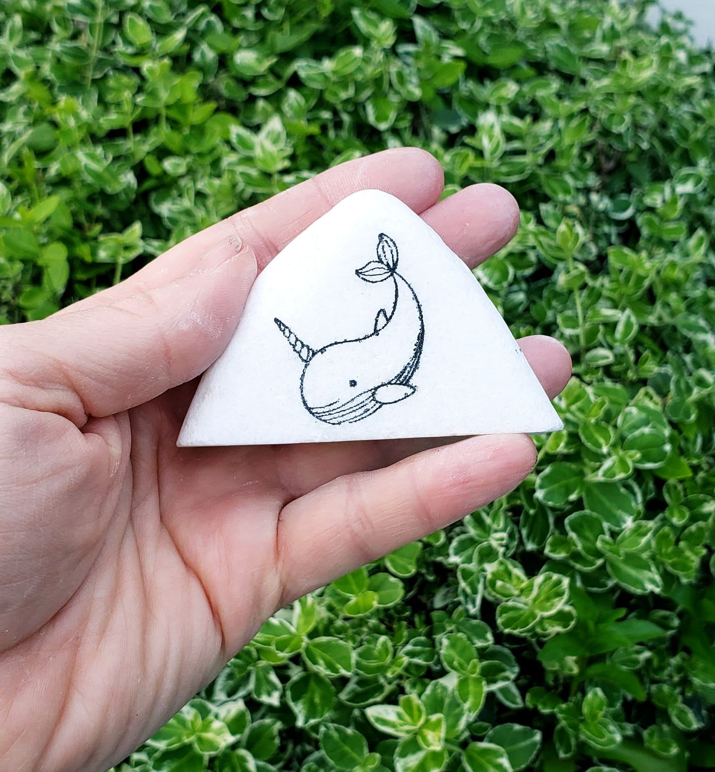 Sweet Little Narwhal