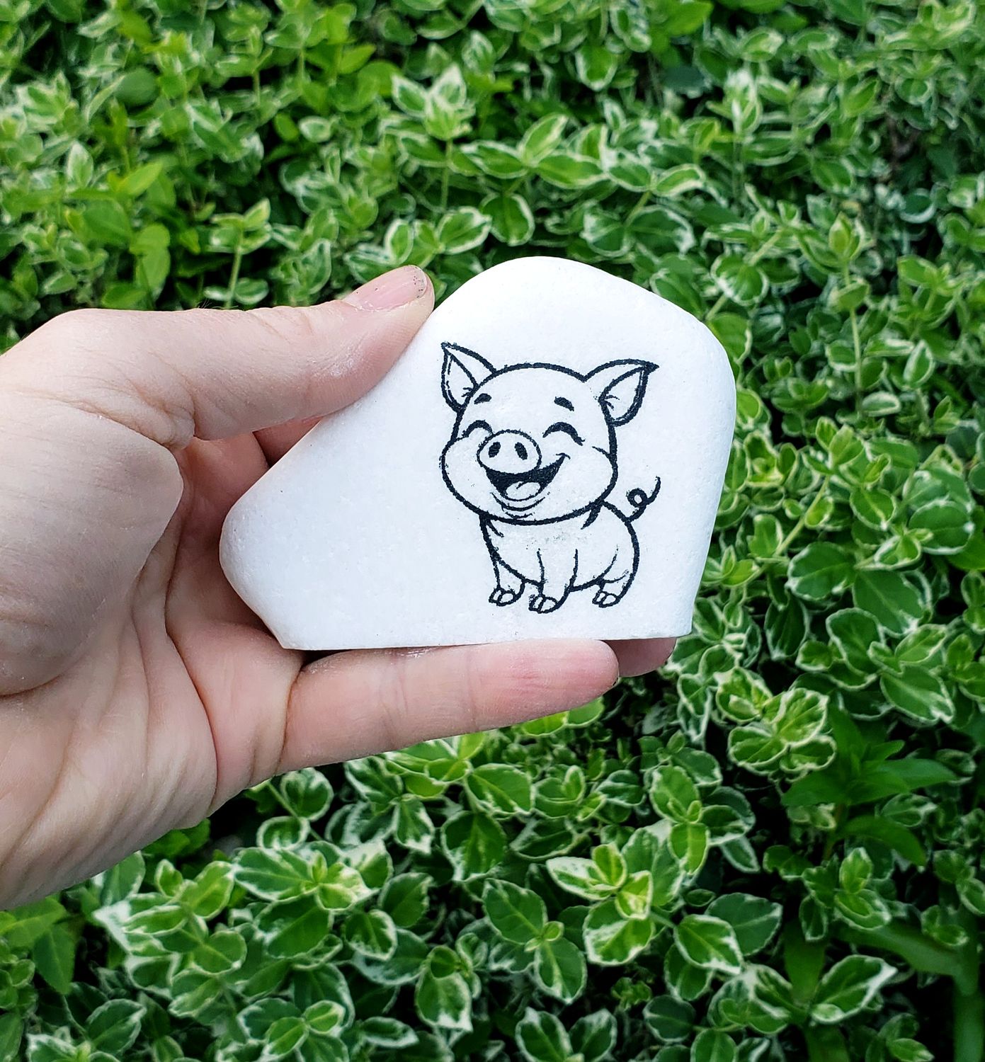 Little Piggy Sweetness