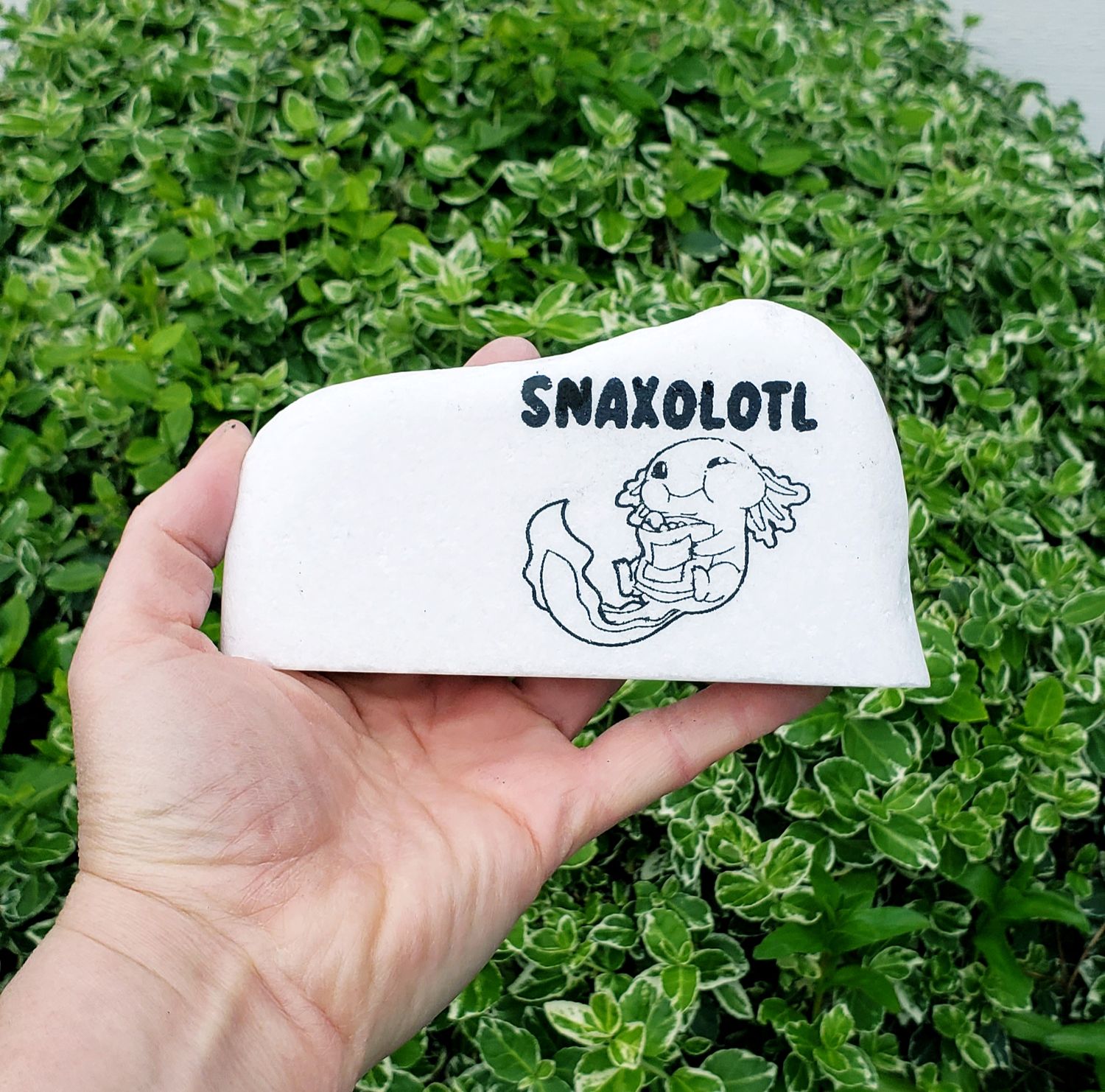 Snaxalotl