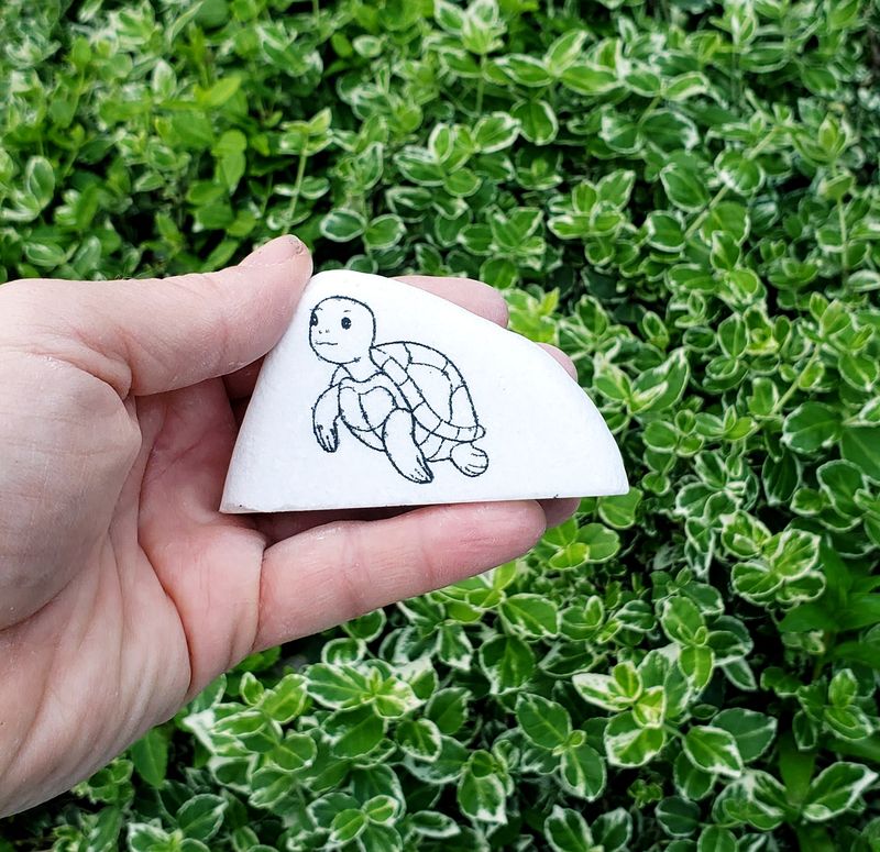 Little Turtle Friend