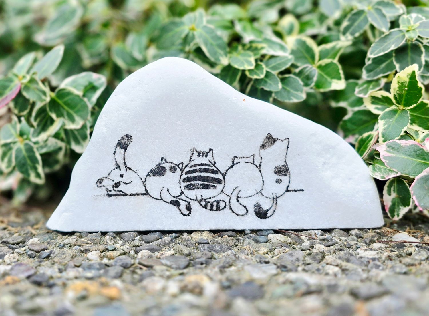 Ledge Lounge Kitties