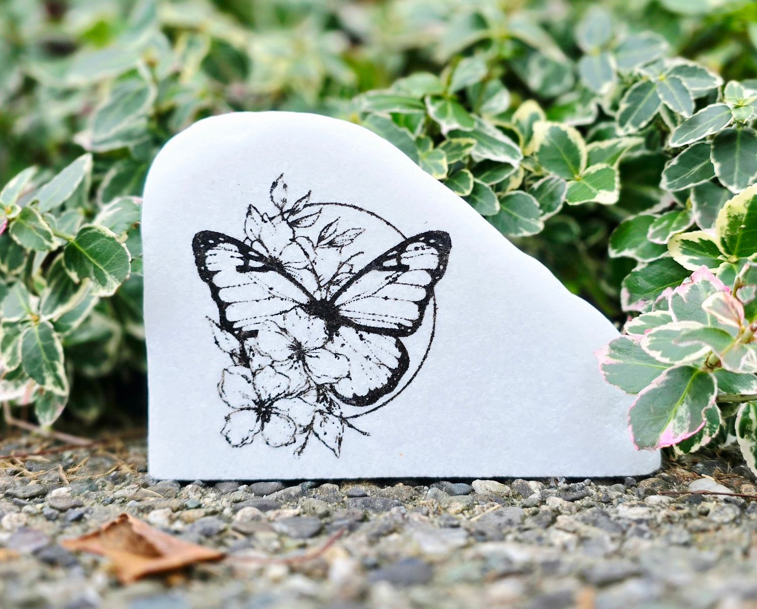 Floral Circle Butterfly