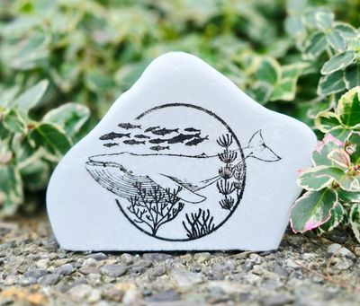 My Favorite Place is Nature