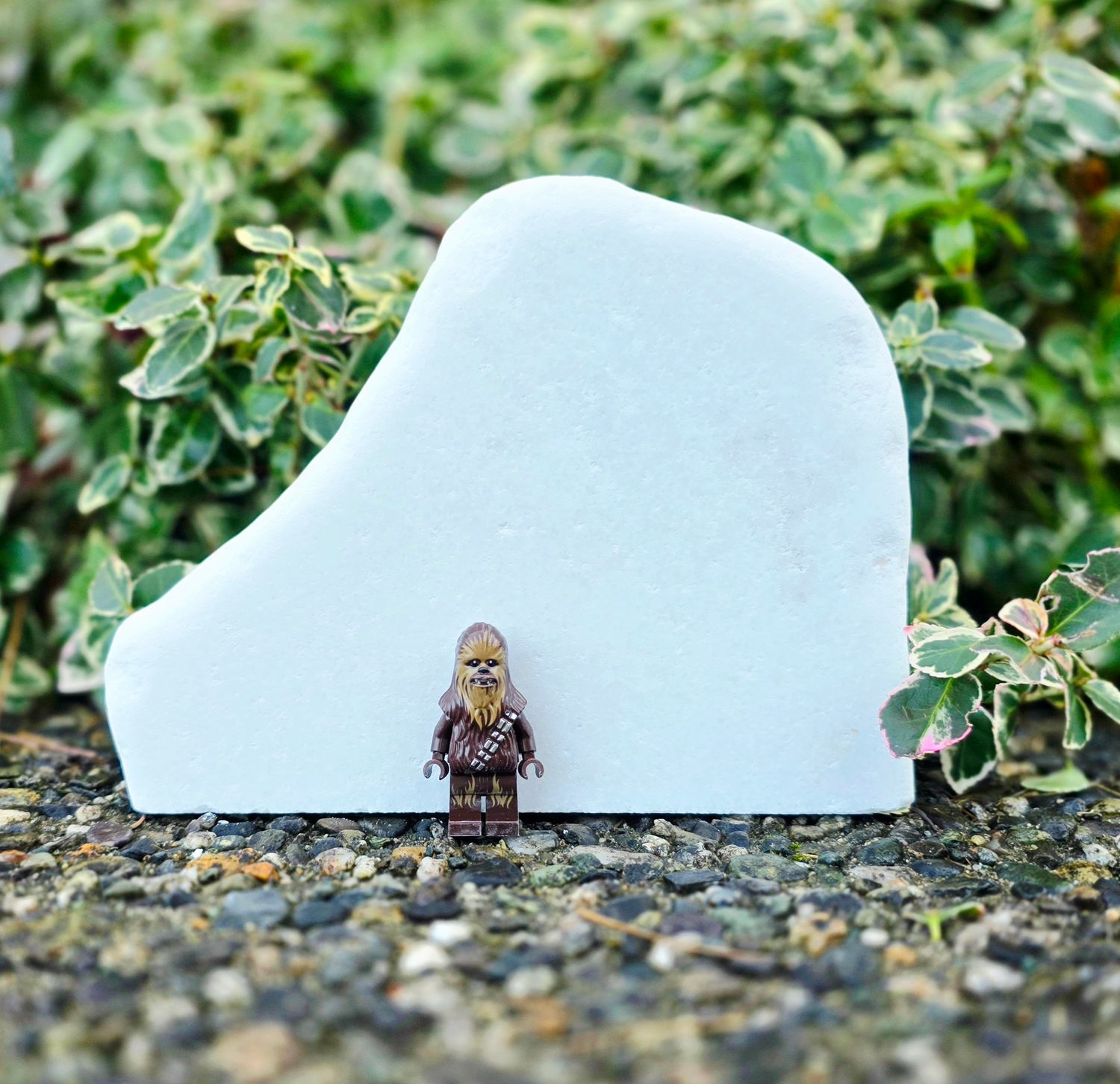 Extra Large Santorini Stone. 2lbs - 2.5lbs