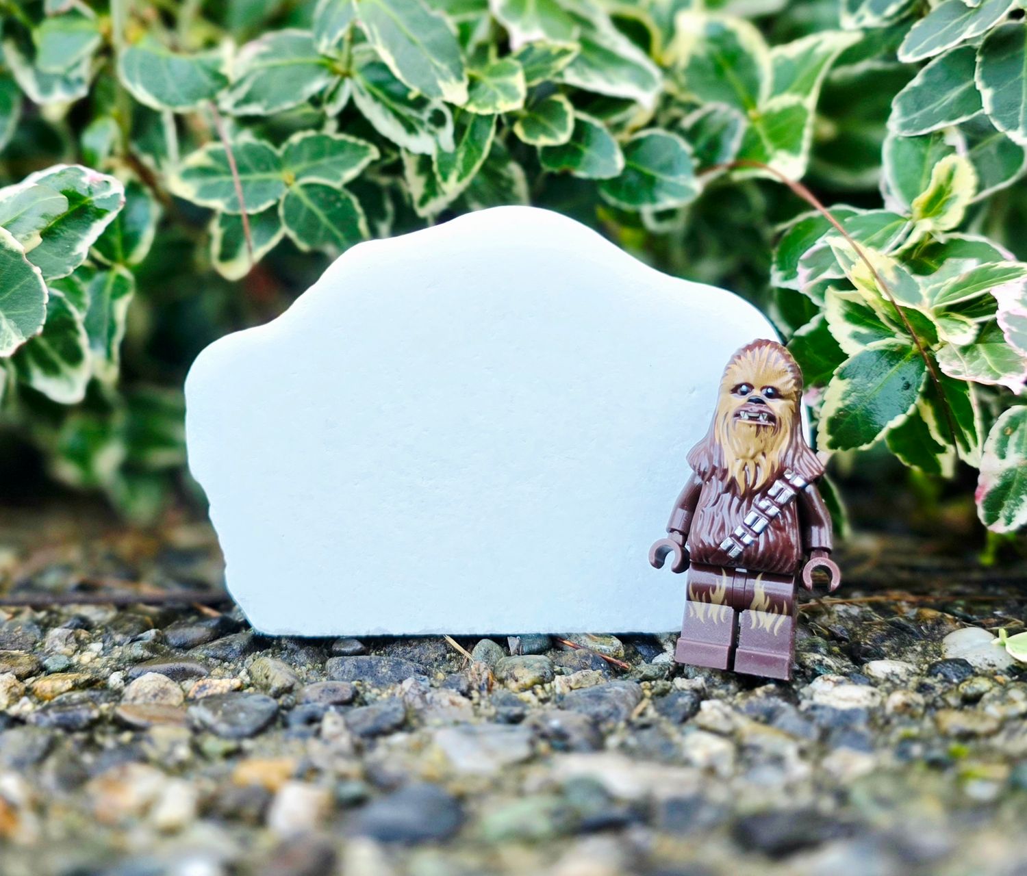 Extra Small Santorini stone  0.25lb - 0.5lb