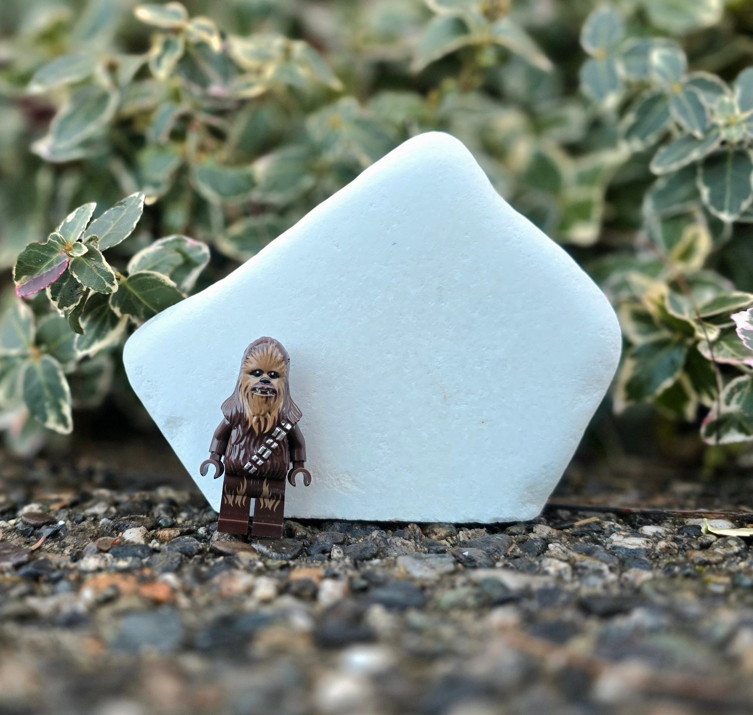 Small Santorini Stone  0.5lb - 1lb