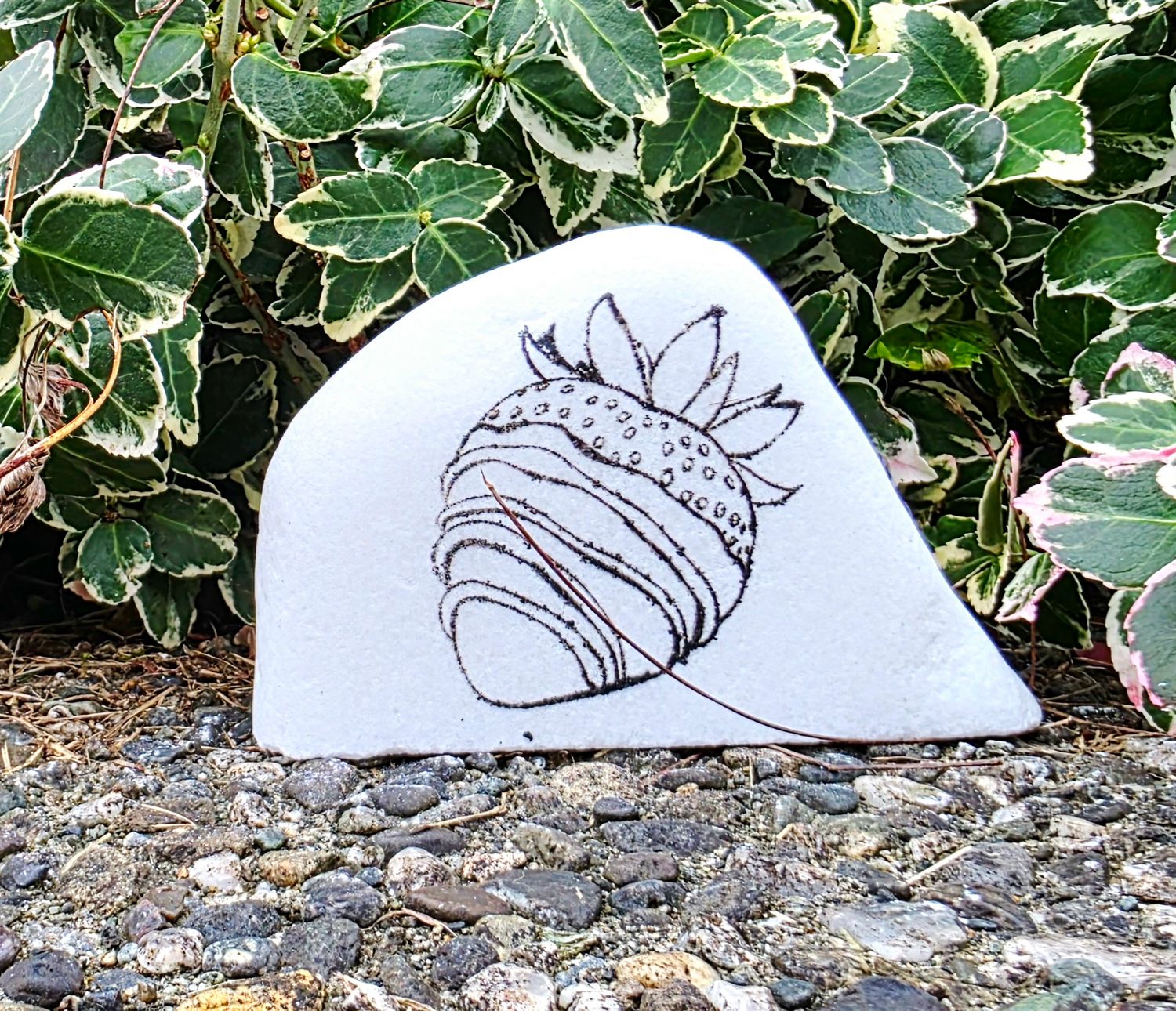 Chocolate-Covered Strawberry