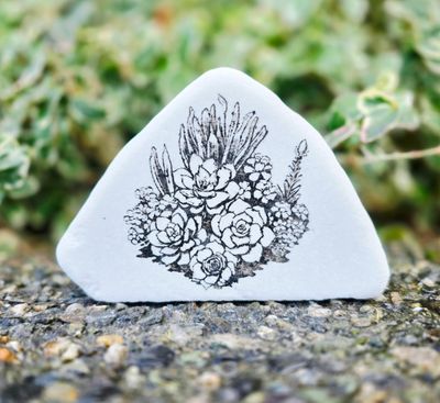 Plants and landscapes